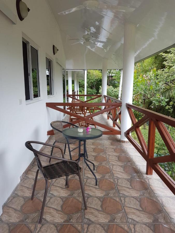Magic Mountain Lodge Las Lajas  Luaran gambar
