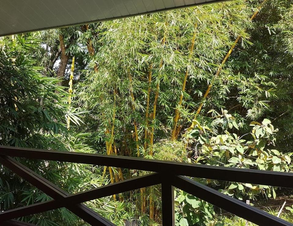 Magic Mountain Lodge Las Lajas  Luaran gambar